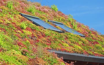 Fontmell Magna living roof systems