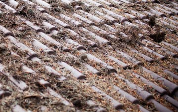 Fontmell Magna roof cleaning companies