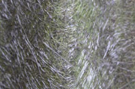 Fontmell Magna fibreglass roof work